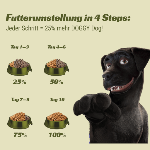 DOGGY Dog - Trockenfutter Geflügel Adult 10 kg - Tafel Umstellung