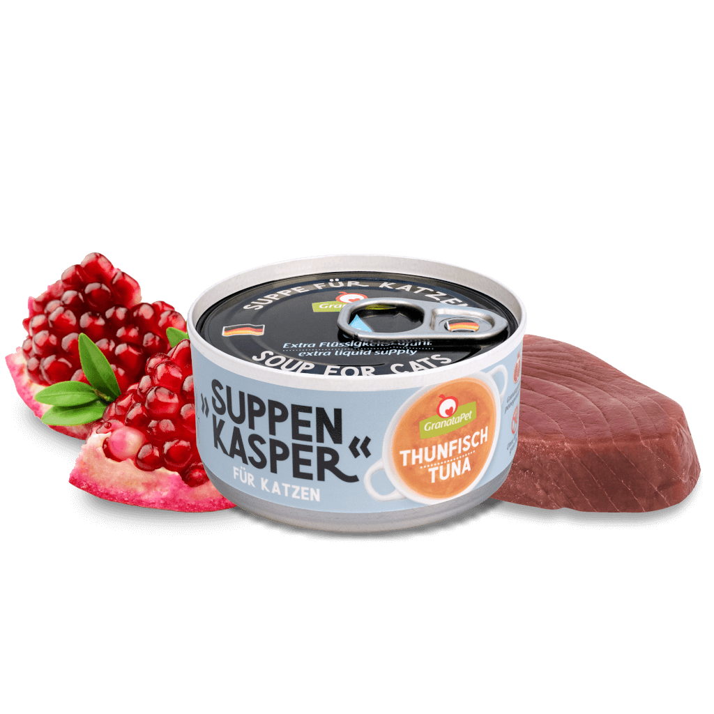 Suppenkasper Thunfisch