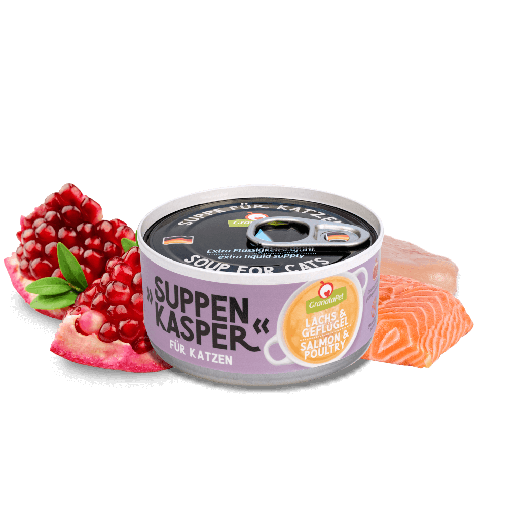 Suppenkasper mixed pack