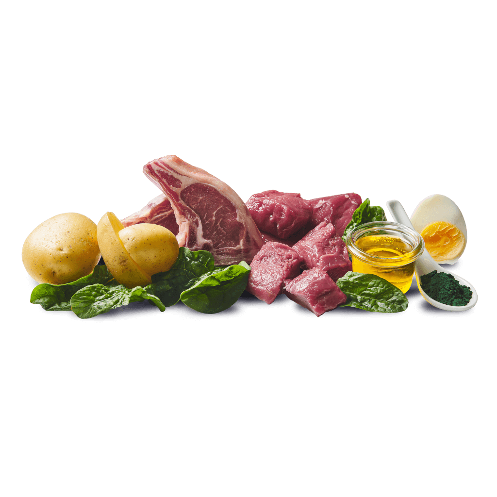 DOGGY Dog - Nassfutter Wild & Lamm 200 g - Zutaten