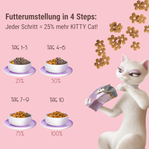 KITTY Cat - Trockenfutter Huhn Adult 800 g - Tafel Umstellung