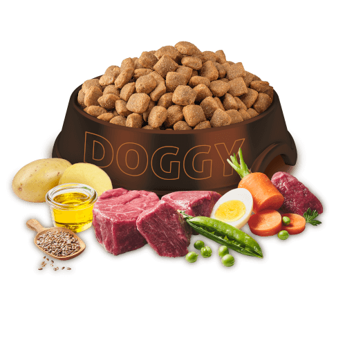DOGGY Dog - Trockenfutter Rind Adult 1 kg - Produkt in Schale/Napf