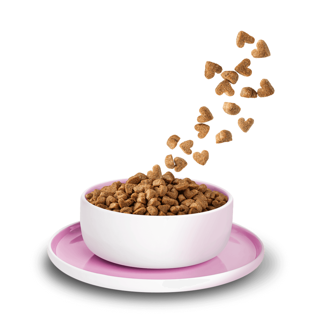 KITTY Cat - Trockenfutter Huhn Kitten 3 kg - Produkt in Schale/Napf