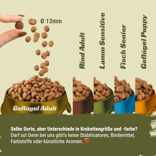 DOGGY Dog - Trockenfutter Geflügel Adult 1 kg - Tafel Krokette