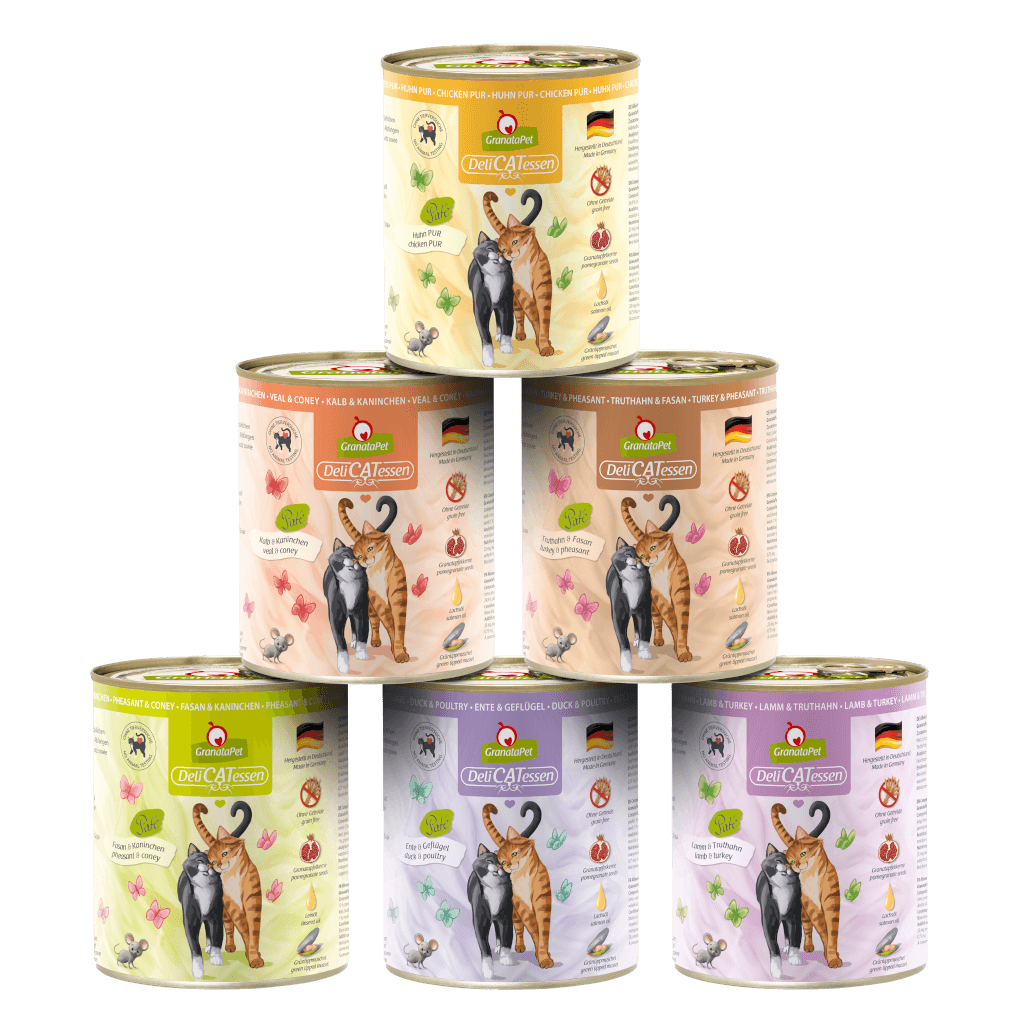 Multipack 3 ohne Fisch