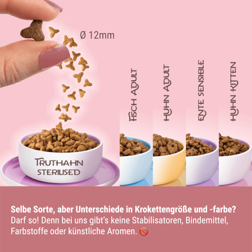 KITTY Cat - Trockenfutter Truthahn Sterilisied 3 kg - Tafel Krokette