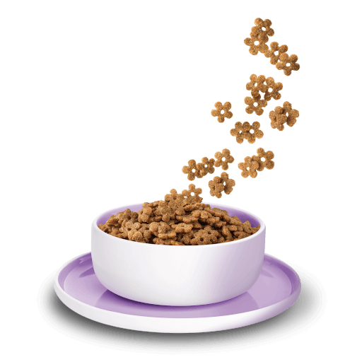 KITTY Cat - Trockenfutter Ente Sensible 3 kg - Produkt in Schale/Napf