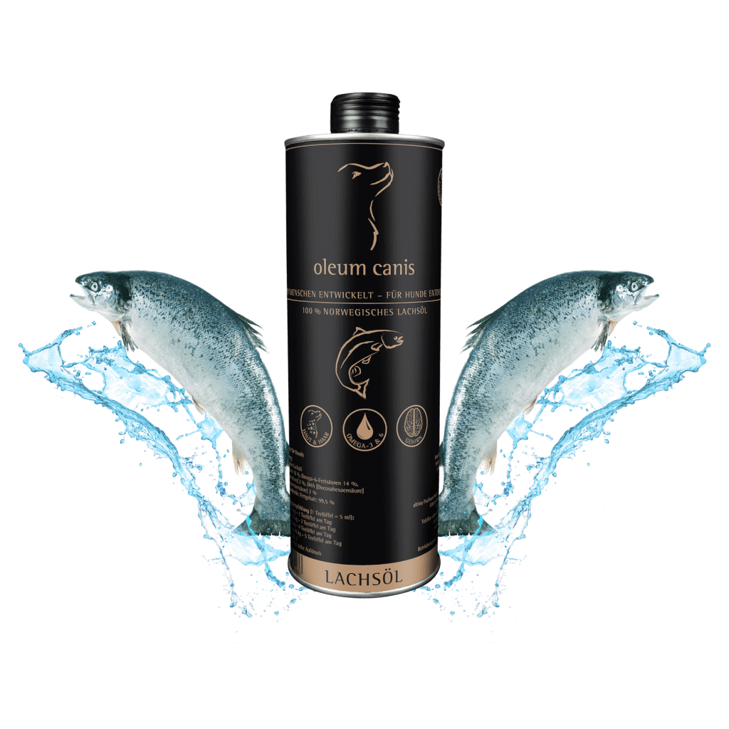 Lachsöl