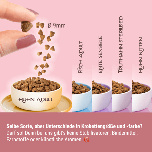KITTY Cat - Trockenfutter Huhn Adult 800 g - Tafel Krokette