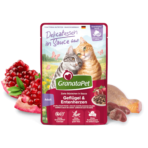 GranataPet Katze - Nassfutter DeliCATessen in Sauce Multipack 2 I 12 x 100 g - MP 1