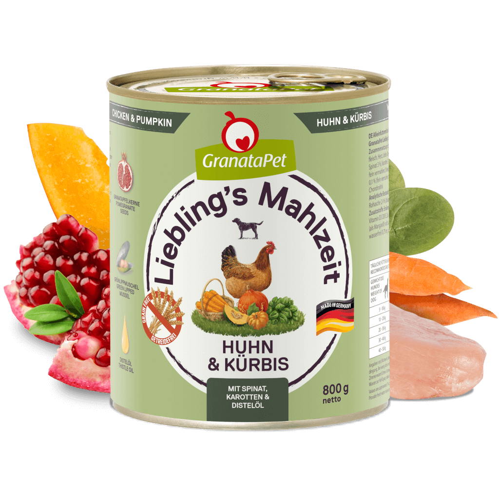 Huhn & Kürbis