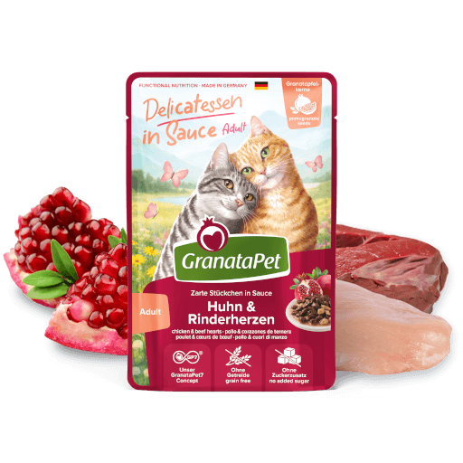GranataPet Katze - Nassfutter DeliCATessen in Sauce Multipack 2 I 12 x 100 g - MP 2
