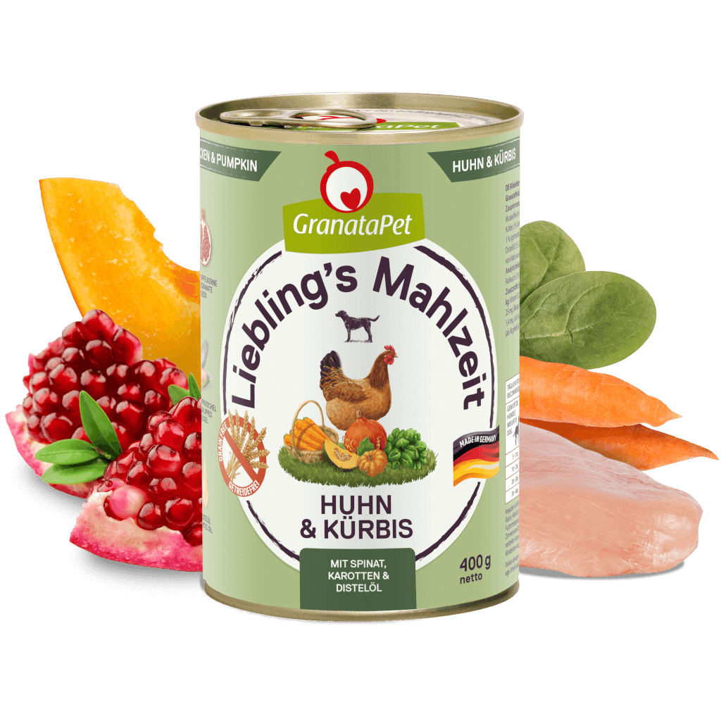 Huhn & Kürbis