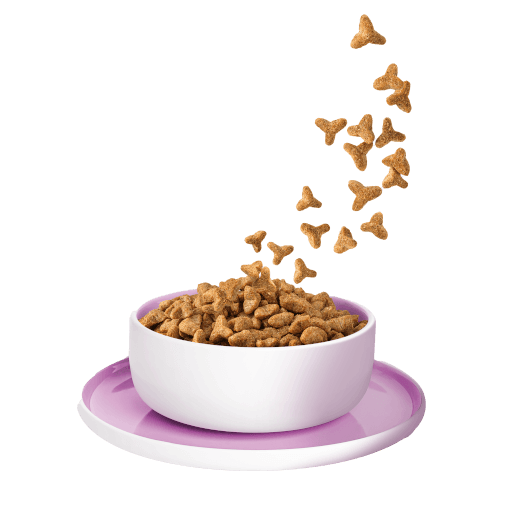 KITTY Cat - Trockenfutter Truthahn Sterilisied 3 kg - Produkt in Schale/Napf