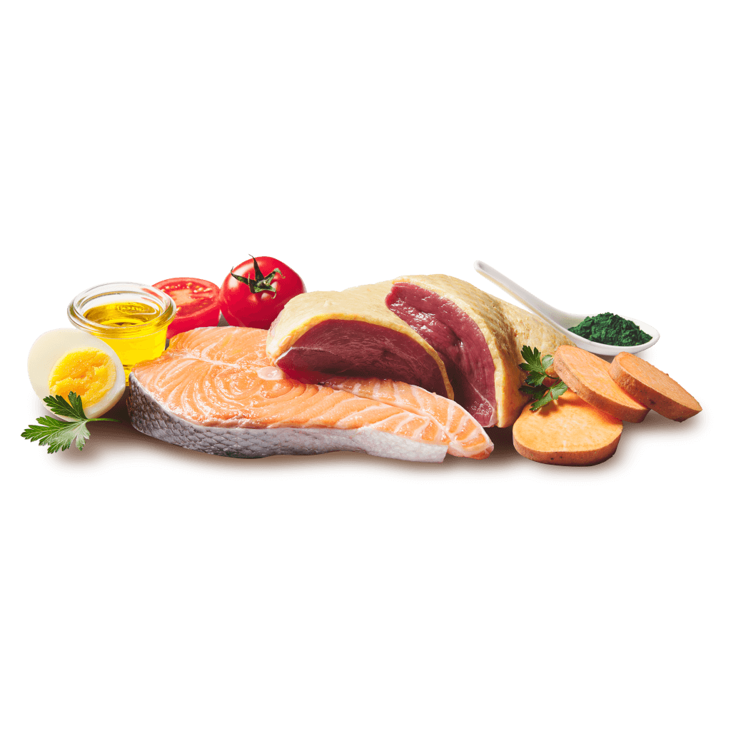 DOGGY Dog - Nassfutter Ente & Lachs 200 g - Zutaten