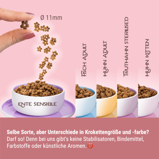 KITTY Cat - Trockenfutter Ente Sensible 3 kg - Tafel Krokette